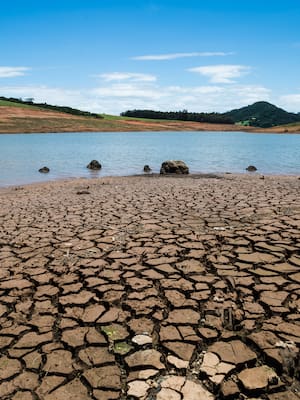 Nos preparamos para grandes retos ambientales | Columna de Carlos E. Correa*