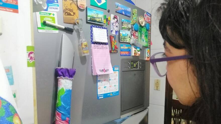 Red Verde apoya la sustitución de neveras en el país