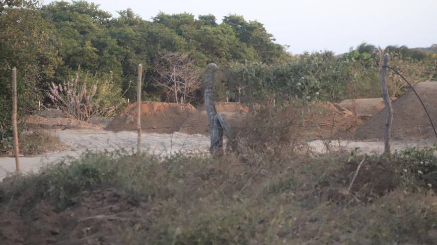 Manglares en Puerto siguen sin protección