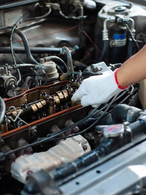 Guasamayeta, que galicado, desguazar