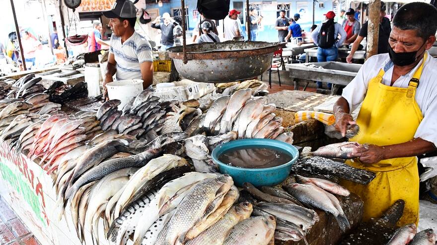 Bajan precios, una ‘mano’ de pescado se vende hasta en $8 mil