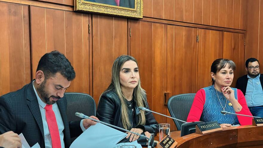 Presidenta de la Comisión VII de Senado denuncia presiones del Gobierno