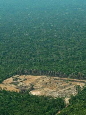 Amazonas y cambio climático