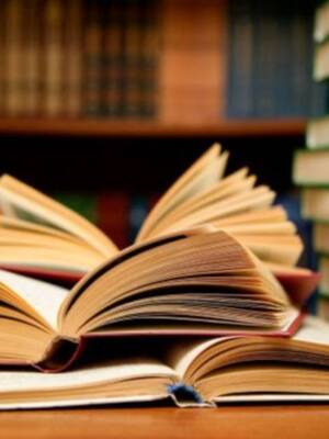 Cocotóloga, español, madera