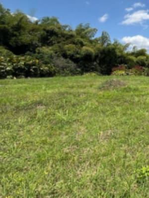 La “mala leche” de los avalúos rurales