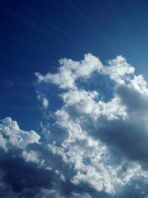 Un panorama complejo