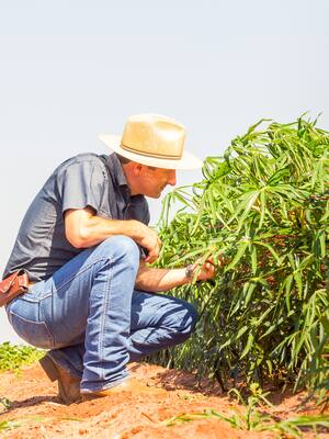 El agro de Fico | Columna de Indalecio Dangond