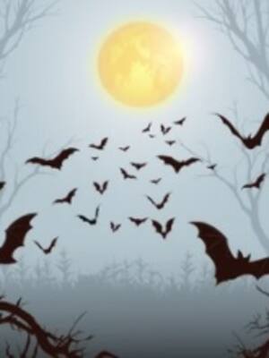 Lecciones del murciélago | Columna de Weildler Guerra