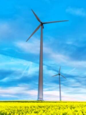 La ruta para la carbono neutralidad| columna de Carlos Eduardo Correa