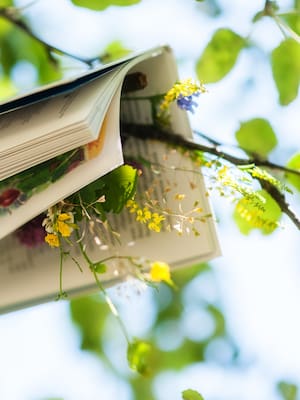 Sutilezas poéticas | Columna de Julio César Henríquez