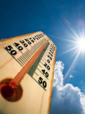 Buen clima | Columna de Emilio Sardi Aparicio