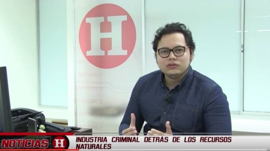 Industria criminal detrás de recursos naturales