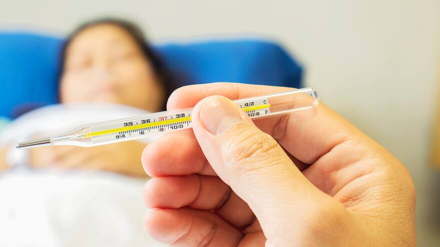 ¿Cuáles son los síntomas de la fiebre amarilla?