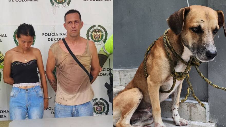 Arrastraron a perro con una cuerda en La Ciudadela y la Policía los captura