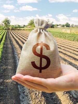 El futuro del crédito agrícola