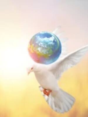 Día Mundial de la Paz | Columna de Néstor Rosanía