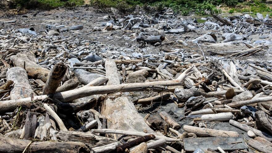 Triple A recogerá palizada quemada en Puerto Colombia