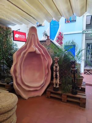 Serie ‘Deconstruyendo Conceptos’: El Clítoris