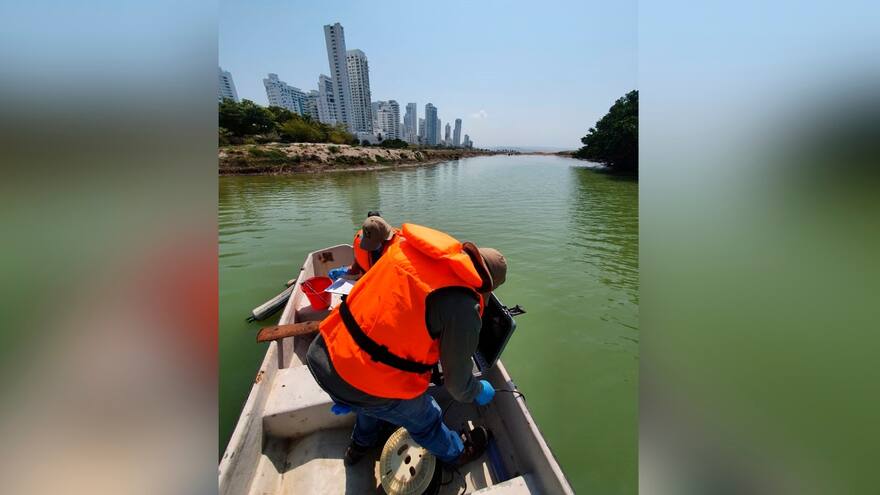 Toman muestras por 'manto verde' en El Laguito