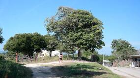 Asesinan a tiros a hombre en el barrio Mundo Feliz de Galapa: se encontraba con su pareja sentimental