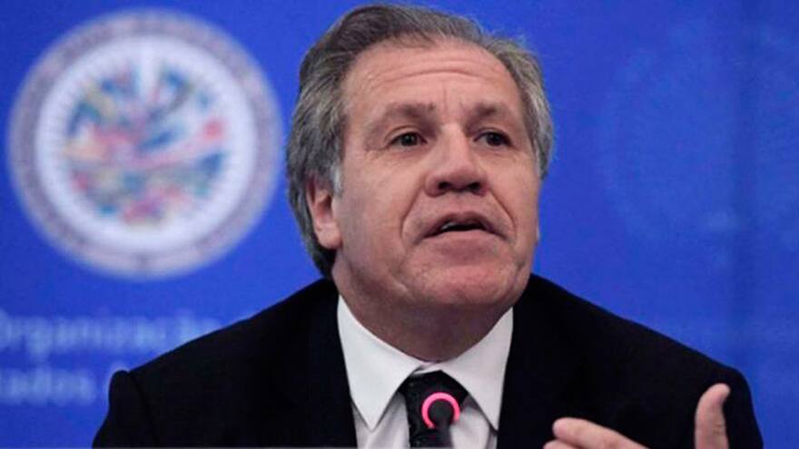 Almagro anuncia que buscará la reelección como secretario general de la OEA