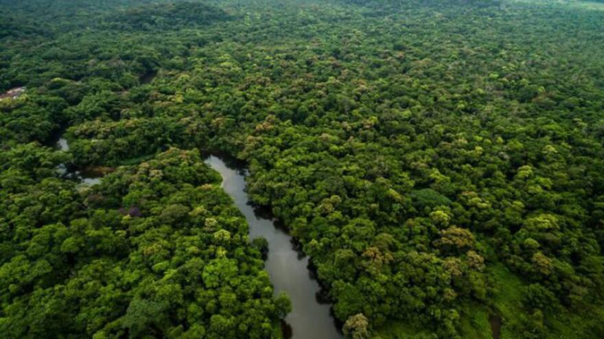 Denuncian el asesinato de guardaparque indígena en la Amazonía de Perú