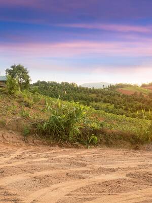 El fantasma de la extinción de dominio