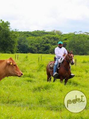 La “política sucia” | Columna de José Félix Lafaurie