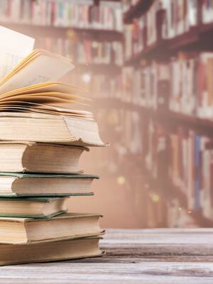 Día del Idioma sin bibliotecas