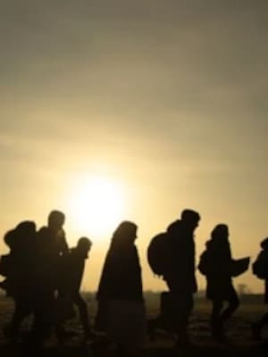 Yo también soy migrante | columna de Daniela Cepeda Tarud