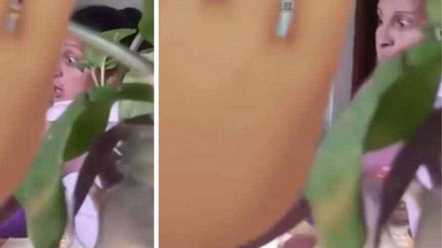 Niña de seis años grabó a niñera maltratando a su hermanito bebé en Argentina