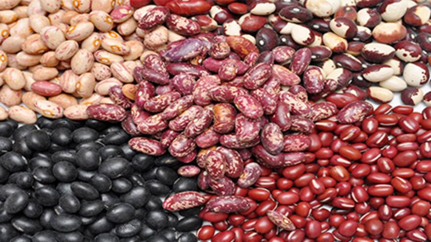 Comercializadores se benefician con medida arancelaria: Fenalce