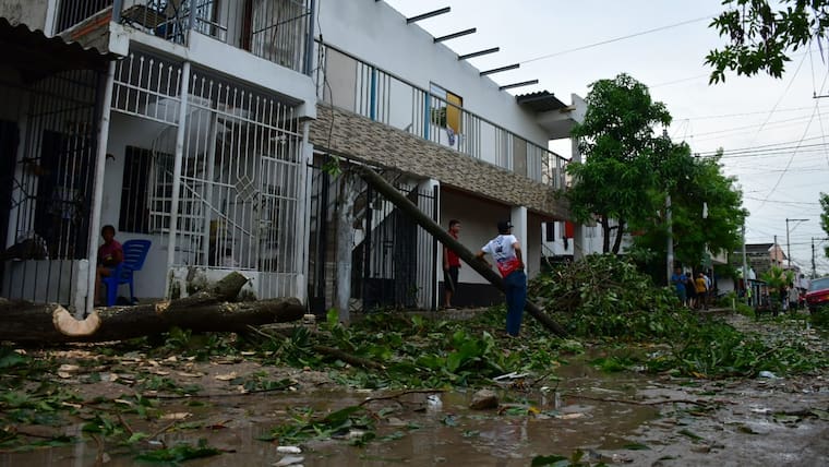 Viviendas destechadas y árboles caídos por fuertes vientos en Nuevo Milenio, Soledad
