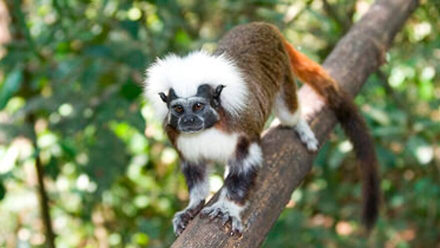 Atlántico, un destino para disfrutar del ecoturismo