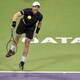 Murray vs. Berdych y Djokovic vs. Verdasco, semifinales en Doha