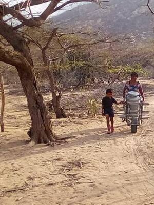 Se obedece, pero no se cumple