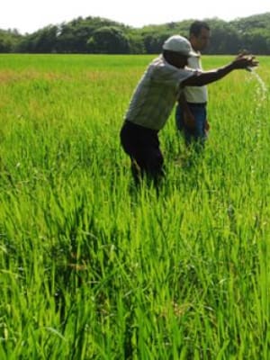 Planes nacionales sectoriales