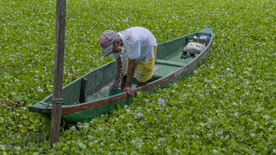 Los peces que consumimos están contaminados: pescadores en Malambo