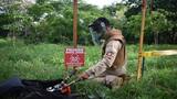 El sur de Bolívar, plagado de minas antipersonales