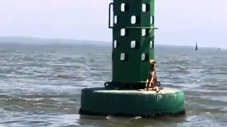 Alcaldía de Cartagena investiga caso de maltrato animal