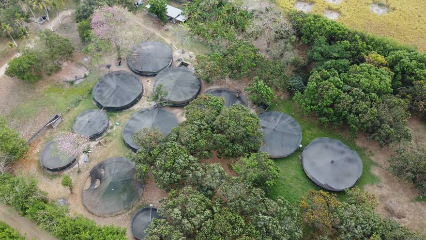 Air-e reporta la suspensión del servicio de energía eléctrica a finca propiedad de cantante vallenato