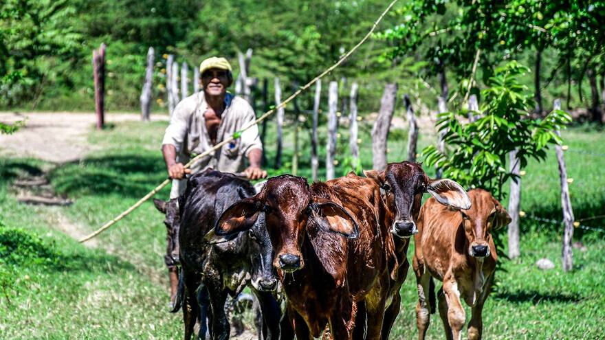 Seguridad y agro, pilares de alcaldes de zonas central y sur del Atlántico