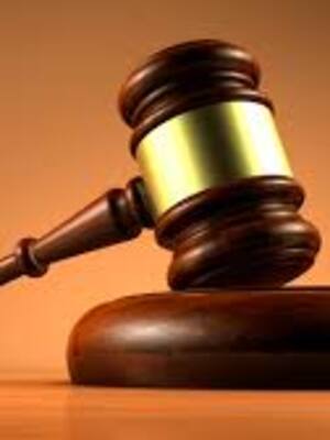 Garantismo y democracia