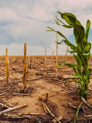 Colombia en la COP26 | columna de Carlos E. Correa Escaf