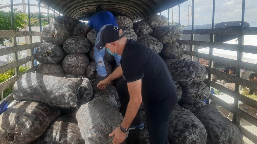 'Se trata de ser buena papa': Christian Daes