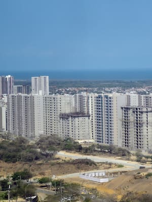 Bosques de cemento | Columna de Jesús Ferro Bayona