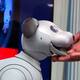 En video | Conozca el nuevo robot canino