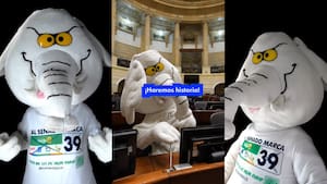 De las redes al Congreso: ¿Quién es ‘Elefante Blanco’, nuevo senador de la República?