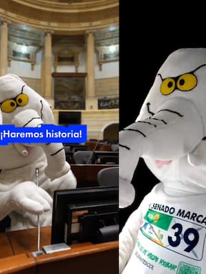 “Likes” no son votos