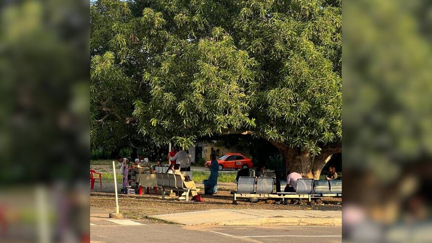 El aeropuerto de la Costa con una “sala de espera” bajo un ‘palo’ de mango